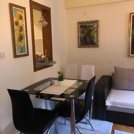 Suncani Apartment Brzece